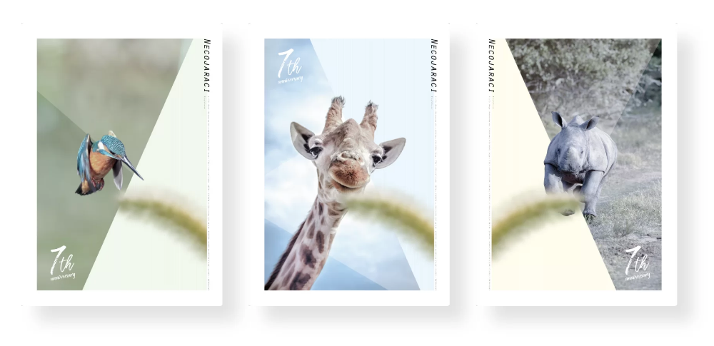 necojaraci|Necojaraci7周年3連ポスター